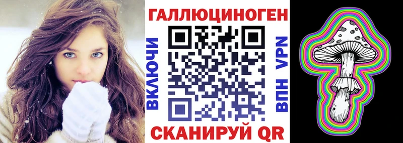 Псилоцибиновые грибы Psilocybe  Кяхта 